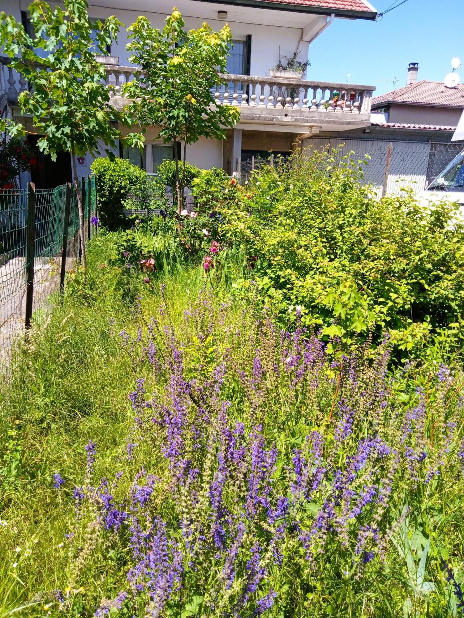 Rosalie Cottage Beaurepaire  Exteriör bild